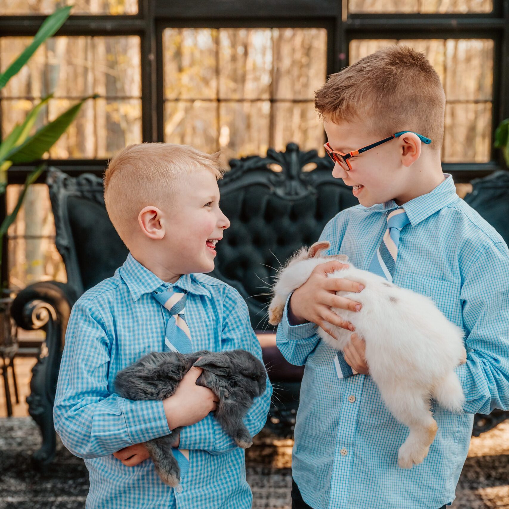 coollife kids with bunnys coollife kids with bunnys